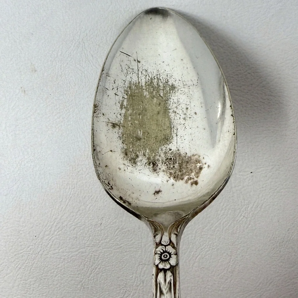 Oneida Valley Rose Serving‎ 4 Pcs 3 Spoons Dinner Fork Silverplate Flatware READ